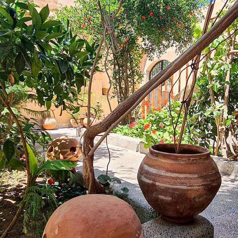 Oasis De Tiout Apartman Kültér fotó
