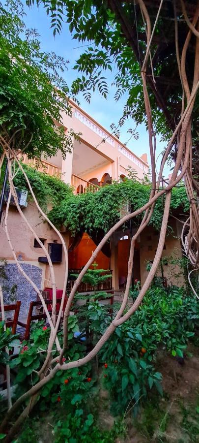 Oasis De Tiout Apartman Kültér fotó